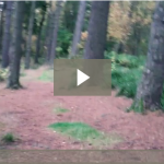 promo-video